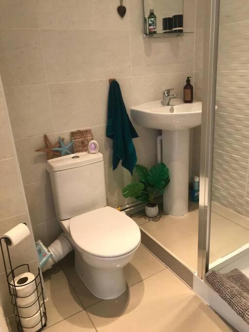 Caldey View Apartment เท็นบี ภายนอก รูปภาพ